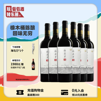 志辉源石葡萄酒- 京东
