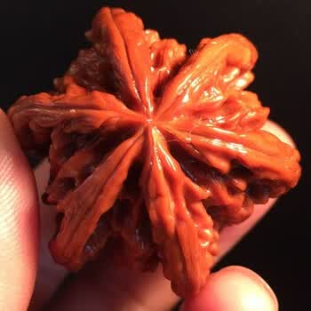 单只文玩核桃品牌及商品- 京东