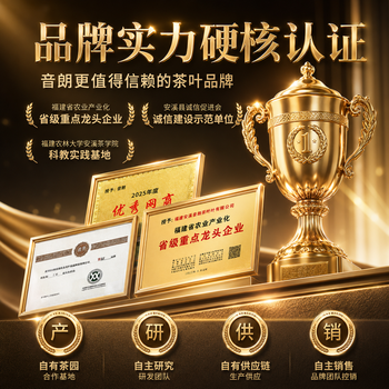 音朗 2026新茶绿茶龙井明前新茶浙江龙井父亲节端午节礼盒送长辈250g