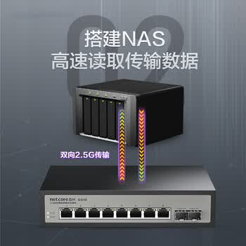 磊科（netcore）GS10 10口2.5G交换机 8个2.5G电口+2个万兆光口SFP+ 千兆网络分线器分流器 支持猫棒NAS光猫 钢壳