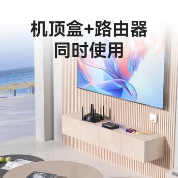磊科（netcore）Z12G 一分二网线分线器 2网口转接头网络交换器 千兆交换机 电脑笔记本路由器IPTV机顶盒HUB分流器