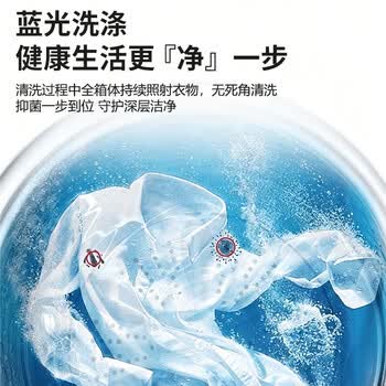 志高（CHIGO）价保618 波轮洗衣机12KG大容量全自动毛毯洗家用租房宿舍智能洗脱一体蓝光洗护XQB120-118
