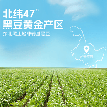 豆三叔低GI无糖添加纯黑豆浆粉360g高纤高蛋白质非转基因大豆早餐冲饮