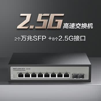 磊科（netcore）GS10 10口2.5G交换机 8个2.5G电口+2个万兆光口SFP+ 千兆网络分线器分流器 支持猫棒NAS光猫 钢壳