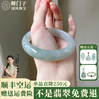翡翠手镯圆条价格报价行情- 京东