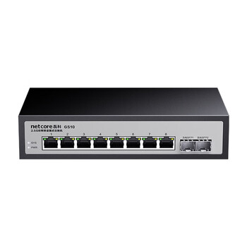磊科（netcore）GS10 10口2.5G交换机 8个2.5G电口+2个万兆光口SFP+ 千兆网络分线器分流器 支持猫棒NAS光猫 钢壳