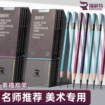 瑞萌特138炭笔中炭美术生专用3.0黑金款特软炭笔素描专用软中硬中性灰炭笔丝滑不断芯揉擦偏冷瑞蒙特