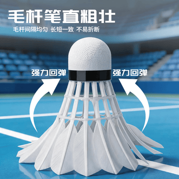 红双喜羽毛球耐打羽球训练比赛鹅毛6只装402A 