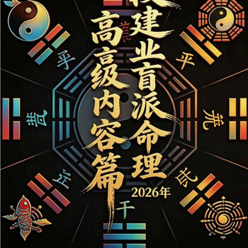 段建业盲派命理- 京东