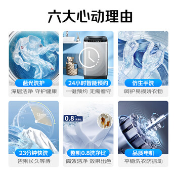 志高（CHIGO） 波轮洗衣机 6.5KG全自动家用租房公寓智能洗脱一体机蓝光洗护 XQB65-818A宝石灰 