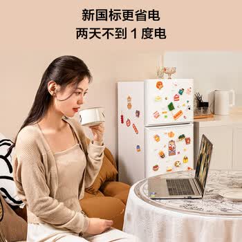 TCL116L两门冰箱直冷小户型养鲜白色新国标小型出租房家用电冰箱112升级款R116L5-B