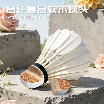 红双喜羽毛球耐打羽球训练比赛鹅毛6只装402A 