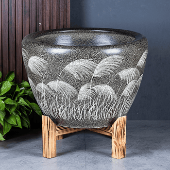 荷花缸中养鱼品牌及商品- 京东