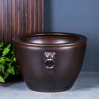 荷花缸中养鱼品牌及商品- 京东