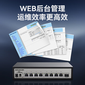 磊科（netcore）GS9 9口网管型2.5G交换机 8个2.5G电口+1个万兆SFP光口 千兆网络分线器 支持vlan链路聚合/NAS光猫