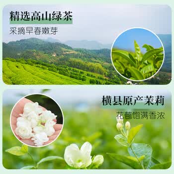 忆江南茶叶茉莉花茶茉莉龙珠200g茉莉绣球春茶自饮罐装浓香型