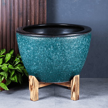 荷花缸中养鱼品牌及商品- 京东