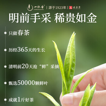 一杯香茶叶绿茶正宗明前早春龙井茶250g2026新茶春茶礼盒装自己喝散装