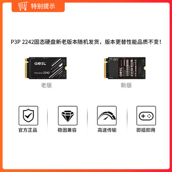 GEIL金邦 2TB SSD固态硬盘M.2接口PCIe 3.0（NVMe协议）2242短板 掌机游戏 高速3500MB/S P3P系列