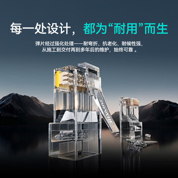 山泽 六类网线水晶头 6类千兆网络接头 CAT6工程级RJ45电脑连接器 10个 WL-6010