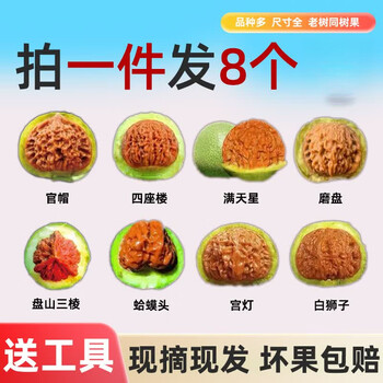 文玩公子帽价格报价行情- 京东