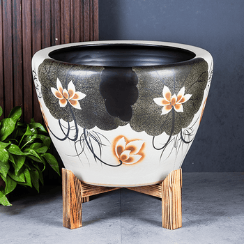 荷花缸中养鱼品牌及商品- 京东