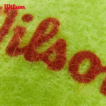 Wilson威尔胜青少年儿童训练网球低压缩网球耐磨Starter WRT137300