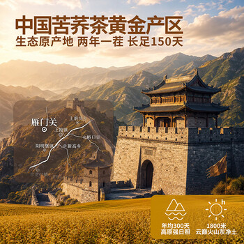 雁门清高有机黑苦荞茶300g 养生茶包 苦荞茶山西 独立包装特选全胚芽 新茶