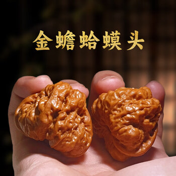 文完核桃金蝉品牌及商品- 京东