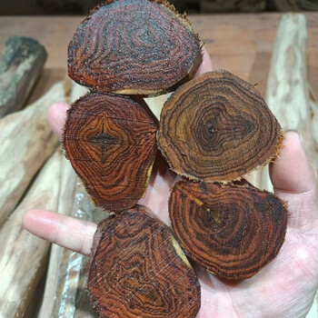 海南黄花梨根料品牌及商品- 京东