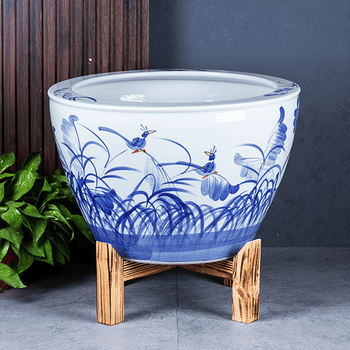 荷花缸中养鱼品牌及商品- 京东