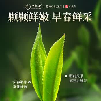 一杯香茶叶绿茶明前头采毛尖茶250g2026新茶春茶礼盒装送礼自己喝散装