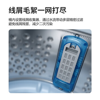 志高（CHIGO）价保618 波轮洗衣机12KG大容量全自动毛毯洗家用租房宿舍智能洗脱一体蓝光洗护XQB120-118