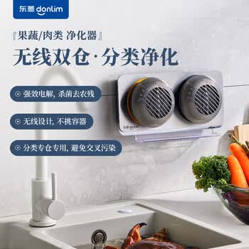 东菱（Donlim）果蔬清洗机 家用果蔬食材净化器 除菌气泡 无线双仓 荤素分类净化升级款DL-1271