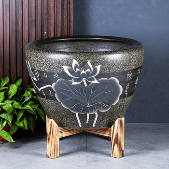 荷花缸中养鱼品牌及商品- 京东