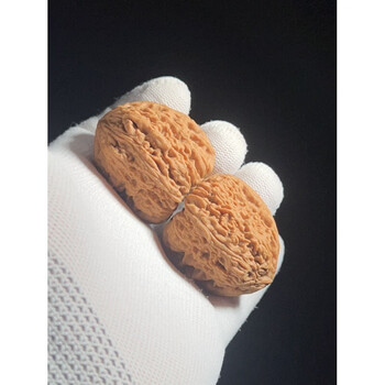 逐鹿南疆石品牌及商品- 京东