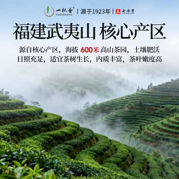 一杯香茶叶乌龙茶武夷山正岩大红袍一级250g礼盒装送礼自己喝散装茗茶