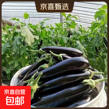 自然之星茄瓜价格报价行情- 京东