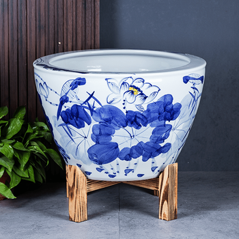 荷花缸中养鱼品牌及商品- 京东