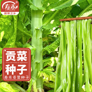莴苣价格报价行情- 京东