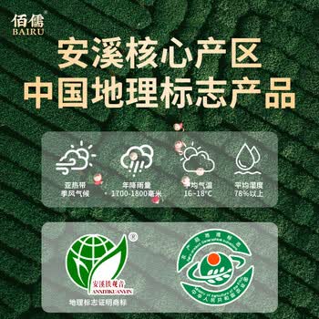 佰儒铁观音茶叶礼盒 特级安溪铁观音乌龙茶250g 茶叶礼品送长辈