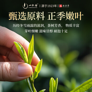 一杯香茶叶乌龙茶武夷山正岩大红袍一级250g礼盒装送礼自己喝散装茗茶