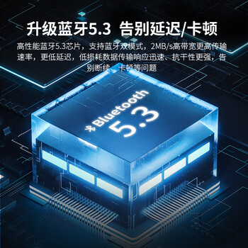 毕亚兹 USB蓝牙适配器5.3发射器免驱动 蓝牙音频接收器 台式机笔记本电脑连接键盘鼠标无线耳机音响手柄