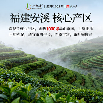 一杯香茶叶安溪乌龙茶铁观音清香型特级500g礼盒装送礼自己喝散装茗茶