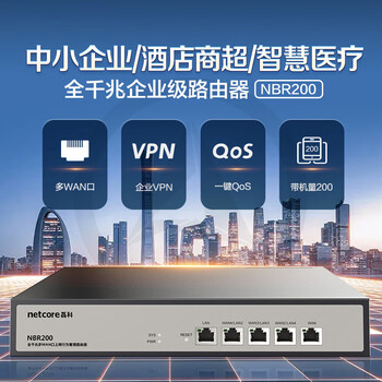 磊科（netcore）NBR200全千兆企业路由器 多WAN口 VPN虚拟专网/远程管理/AC管理/带宽叠加/策略路由
