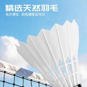 红双喜羽毛球耐打羽球训练比赛鹅毛6只装402A 