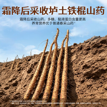 谷掌柜100%纯铁棍山药粉500g无添加健脾护胃养胃粉营养早餐端午节礼物 谷掌柜100%纯铁棍山药粉500g无添加健脾护胃养胃粉营养早餐端午节礼物