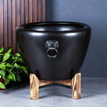 荷花缸中养鱼品牌及商品- 京东