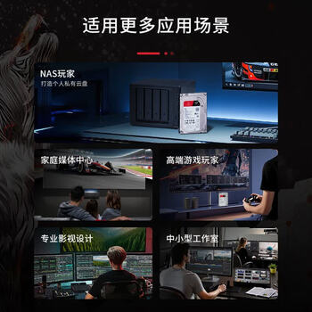 攀升适用于希捷酷狼系列 8TB 256MB 7200转 SATA接口 CMR垂直 3.5英寸 静音低耗NAS硬盘ST8000VN004 攀升适用于希捷酷狼系列 8TB 256MB 7200转 SATA接口 CMR垂直 3.5英寸 静音低耗NAS硬盘ST8000VN004