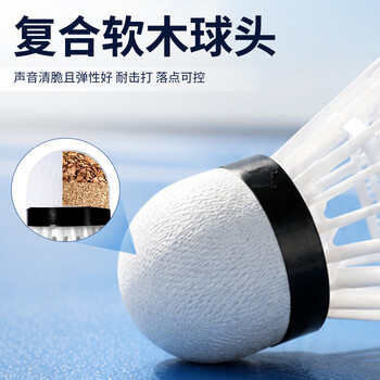 红双喜DHS耐打训练尼龙羽毛球塑料胶练习羽球6只装白色EG60